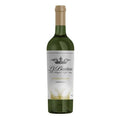 Chardonnay Wine